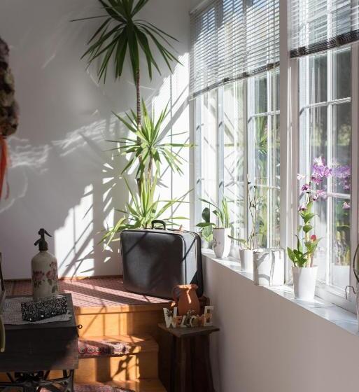 带露台的单人间, Boróka Vendégház Tóalmás