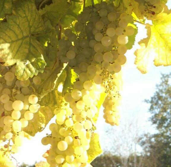 בית, חדר שינה 1, Domaine Des Charmilles