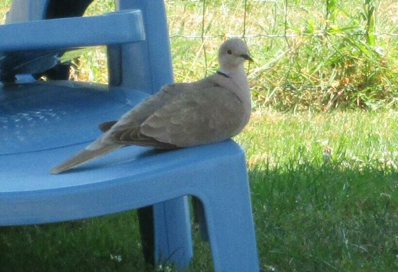 בית, חדר שינה 1, Domaine Des Charmilles