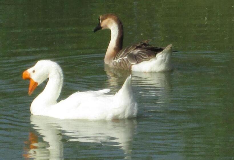 בית, חדר שינה 1, Domaine Des Charmilles