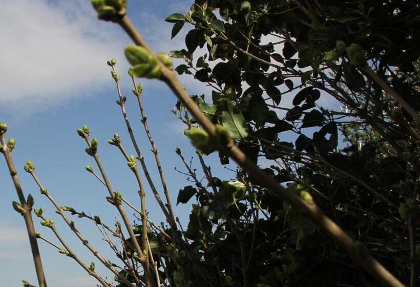 스탠다드 룸 가든 전망, L Itinérante