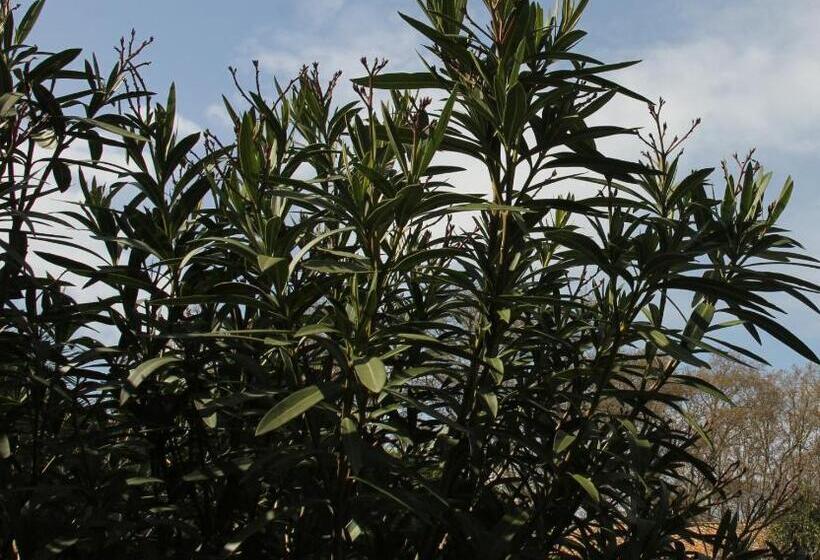 스탠다드 룸 가든 전망, L Itinérante