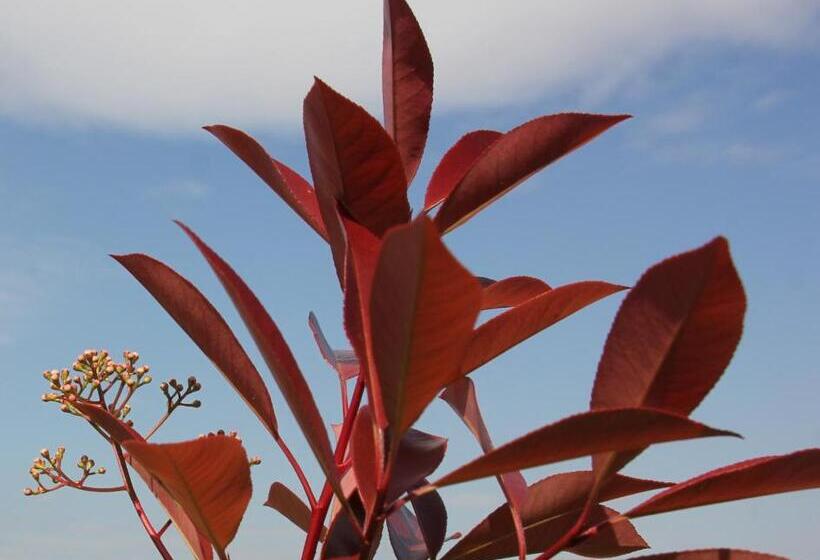 스탠다드 룸 가든 전망, L Itinérante