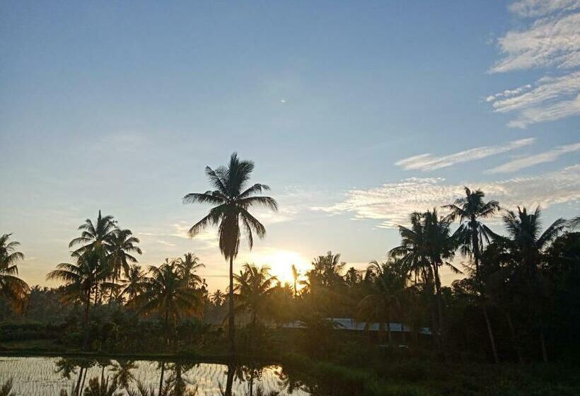 家族用バンガロー, Rinjani Terrace Cottage