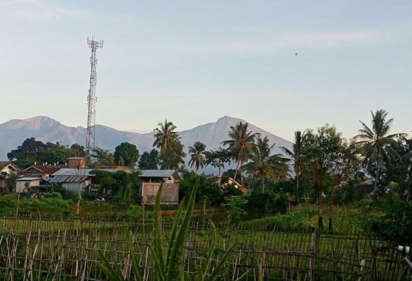 家族用バンガロー, Rinjani Terrace Cottage