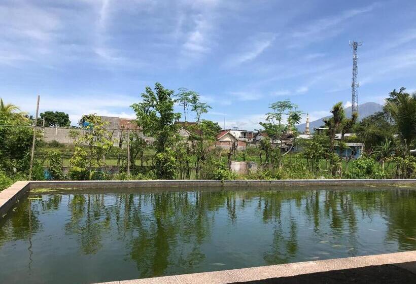 プールビュースタンダードルーム, Rinjani Terrace Cottage