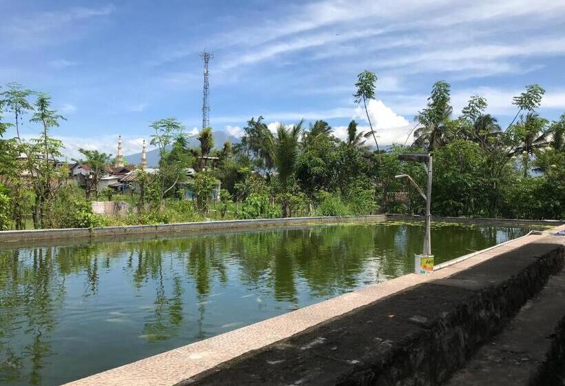 プールビュースタンダードルーム, Rinjani Terrace Cottage