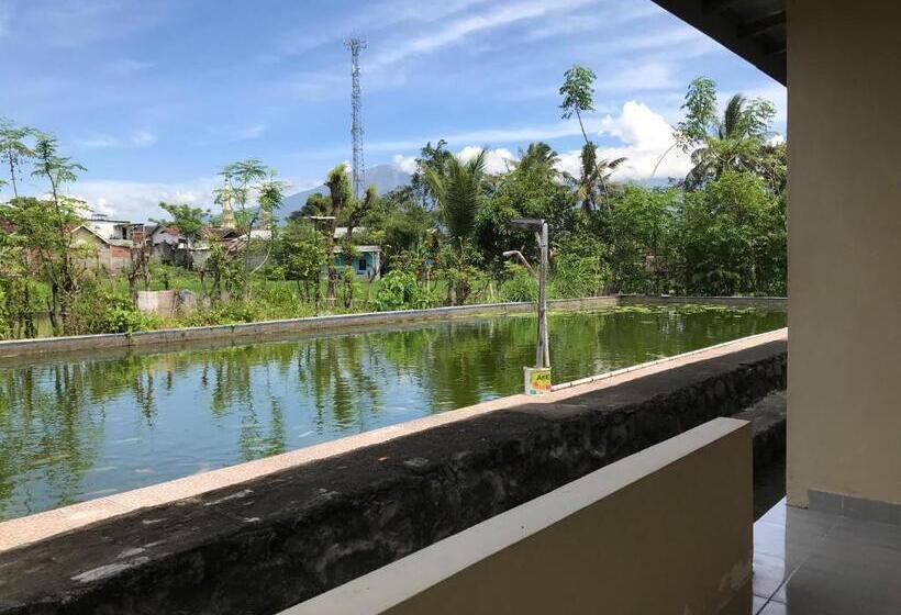 プールビュースタンダードルーム, Rinjani Terrace Cottage