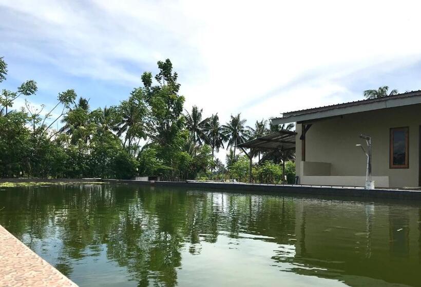 プールビュースタンダードルーム, Rinjani Terrace Cottage