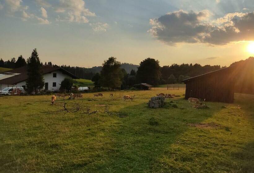 标准单人间, Pension Bachlhof