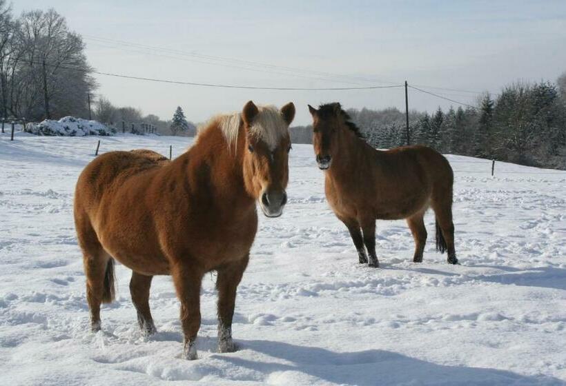 סוויטת דופלקס, Chambres D Hôtes La Landre