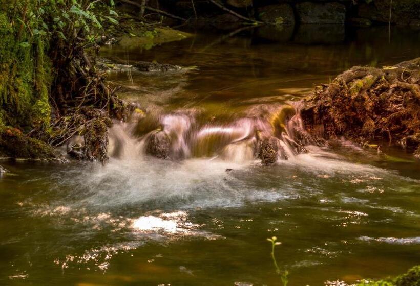 חדר סופריור, Chambres D Hôtes La Landre