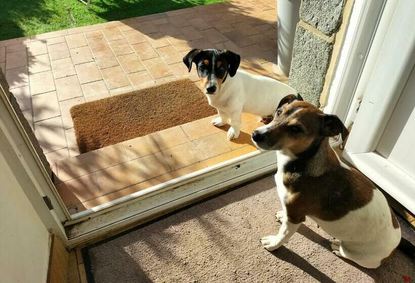 デラックスルーム, Chez Cathy