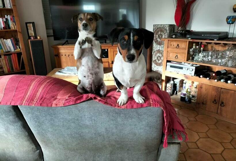 デラックスルーム, Chez Cathy