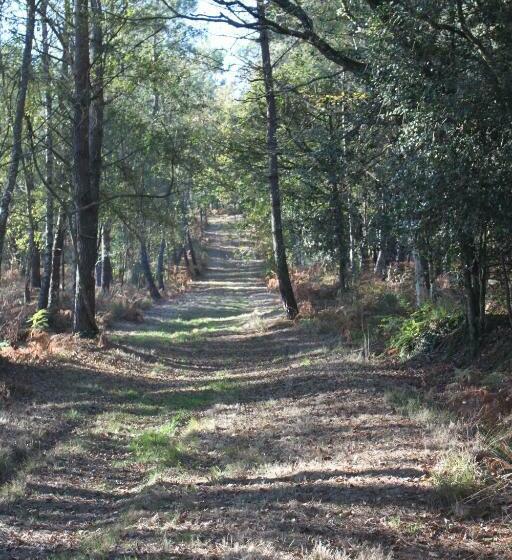 デラックスルーム, Chez Cathy