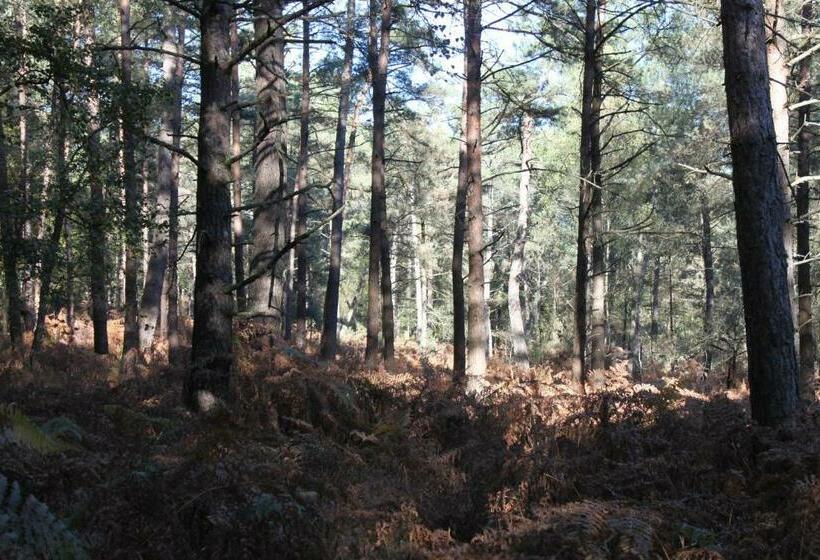 デラックスルーム, Chez Cathy