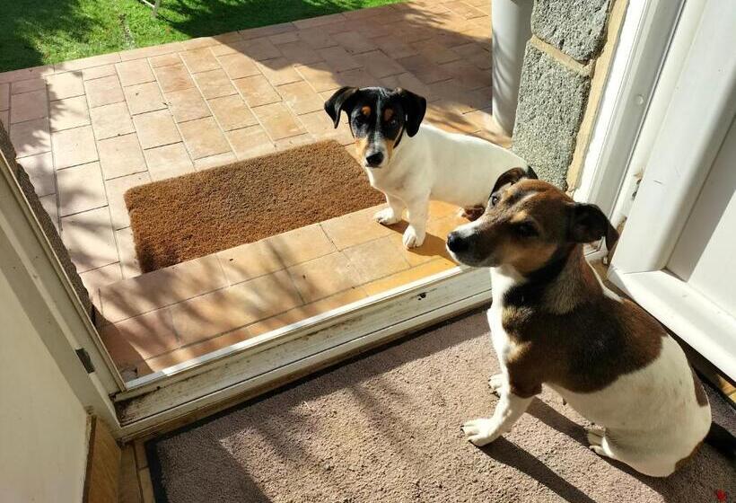 ガーデンビュースタンダードルーム, Chez Cathy