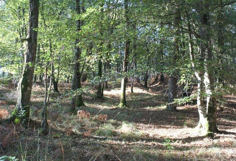 ガーデンビュースタンダードルーム, Chez Cathy