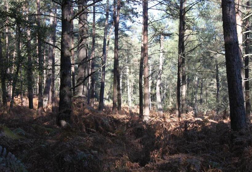 ガーデンビュースタンダードルーム, Chez Cathy