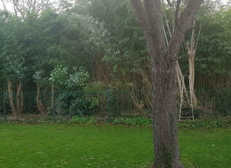 ガーデンビュースタンダードルーム, Maison Architecte