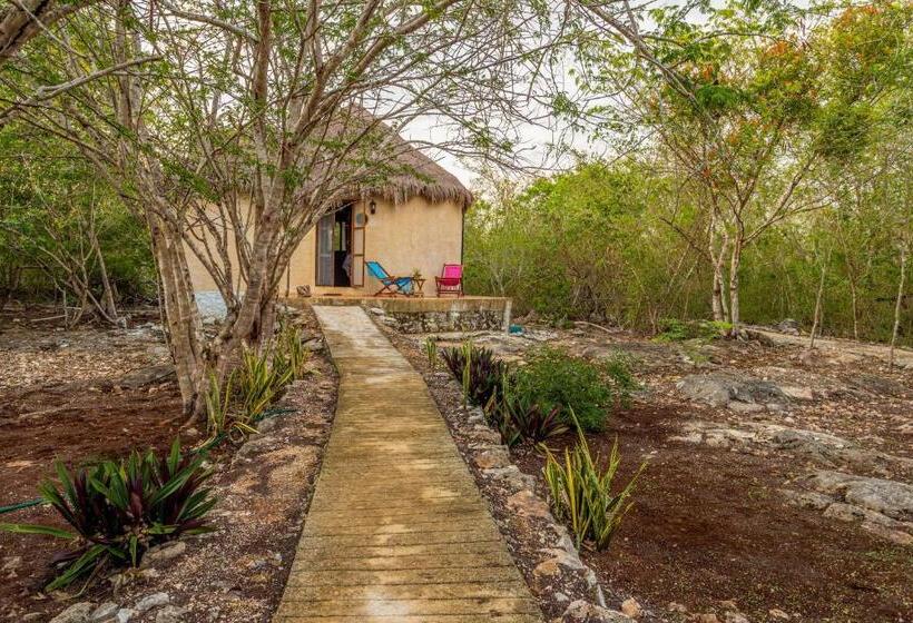 غرفة قياسية, Cabañas Santa Cruz