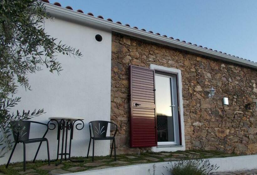 스탠다드 스튜디오, Casas De Campo De Vale De Junco