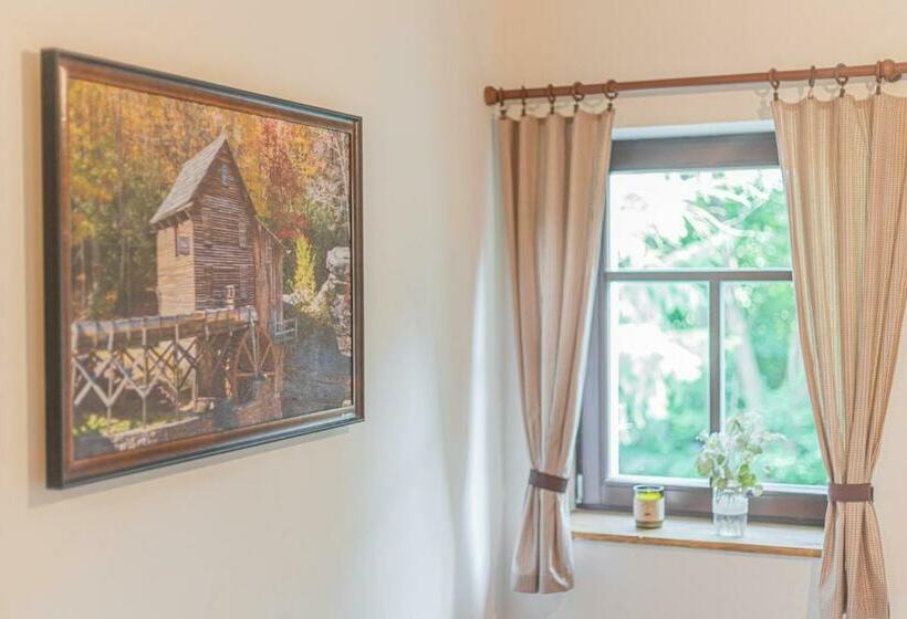 חדר משפחתי, Buškovský Mlýn 1580