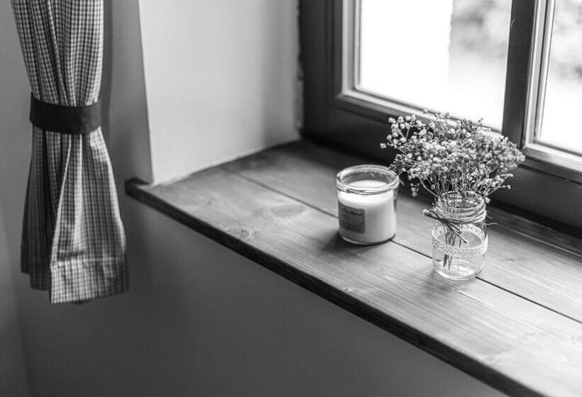 חדר קלאסי לארבעה, Buškovský Mlýn 1580