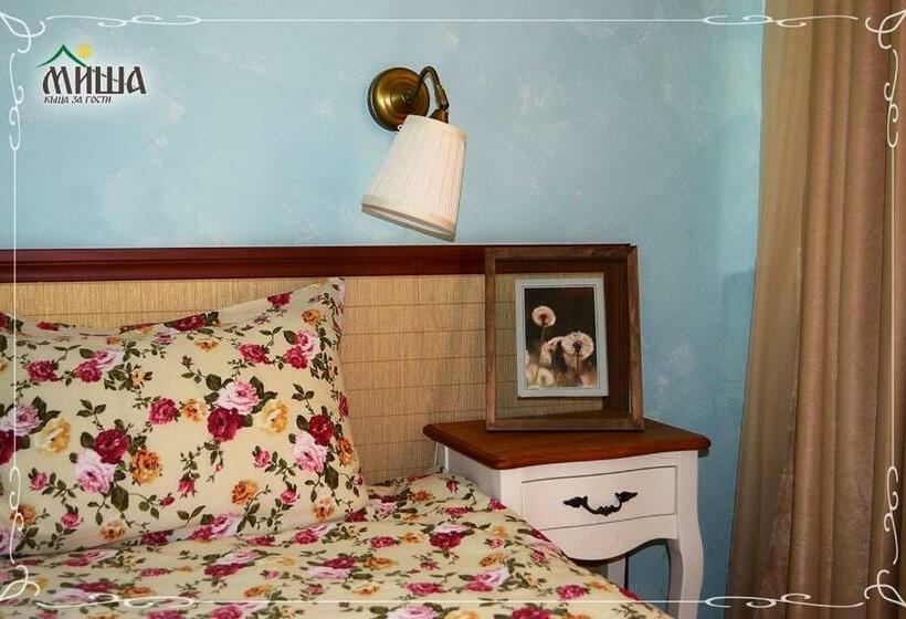 Семейное Студио, Guest House Misha