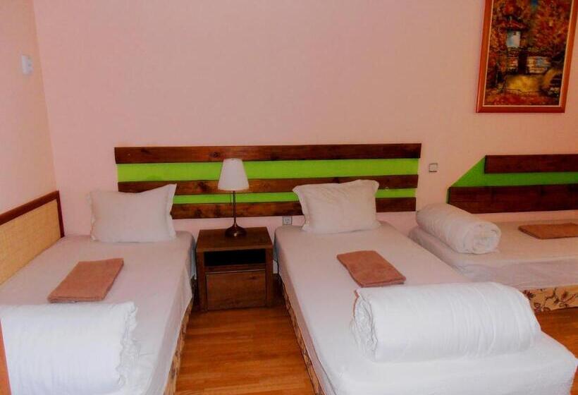 דירה בת חדר שינה 1 עם מרפסת, Guest House Misha