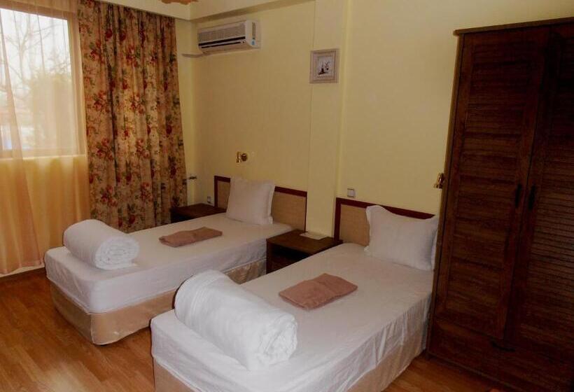 Апартаменты 2 Спальни, Guest House Misha