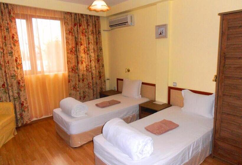 Апартаменты 2 Спальни, Guest House Misha