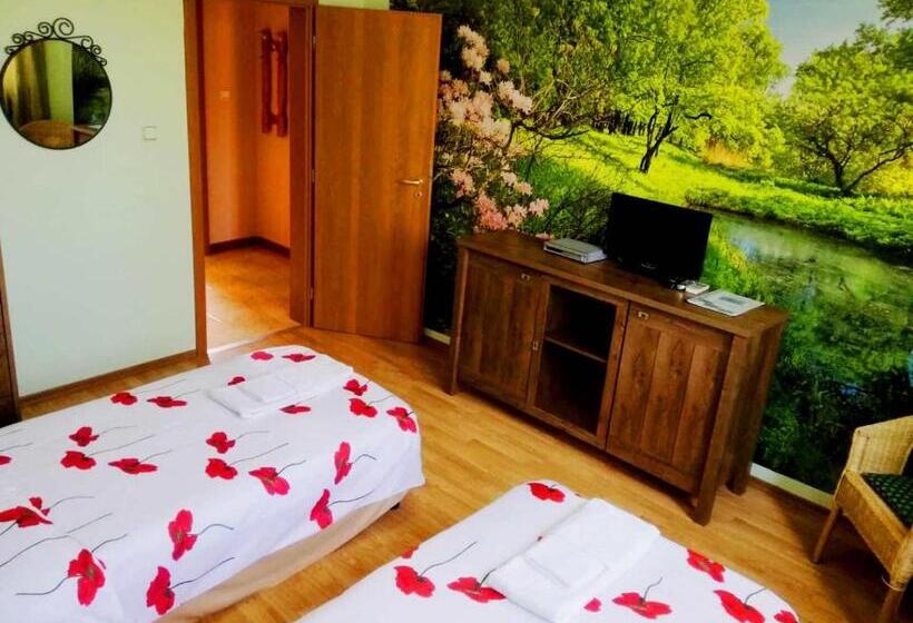 דירת חדר נוף לבריכה, Guest House Misha