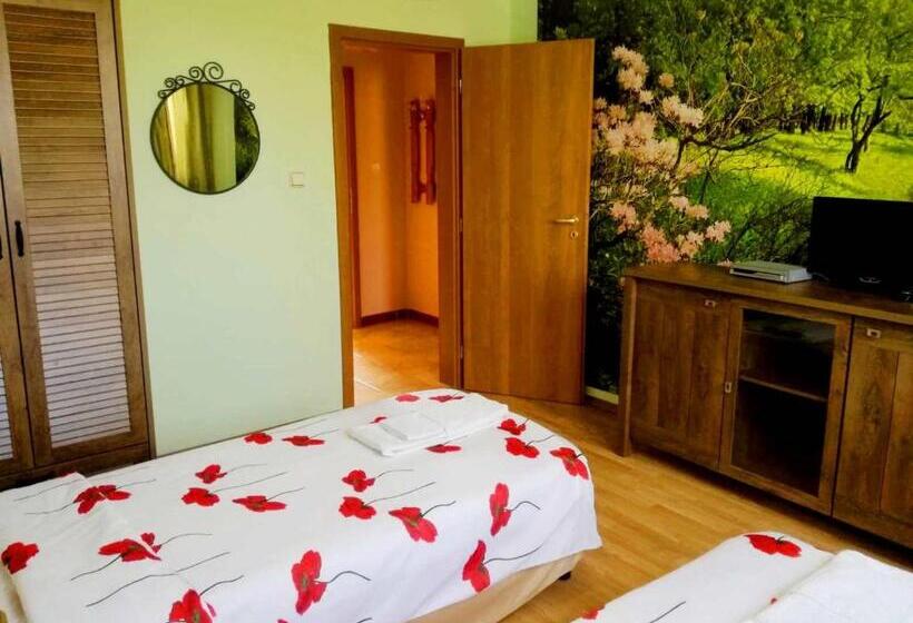 דירת חדר נוף לבריכה, Guest House Misha