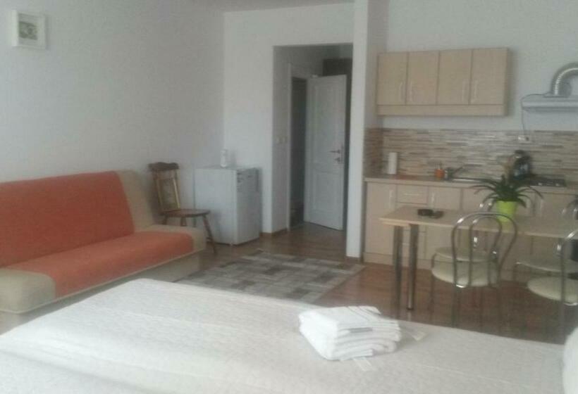 Студия Стандарт, Vila Onix