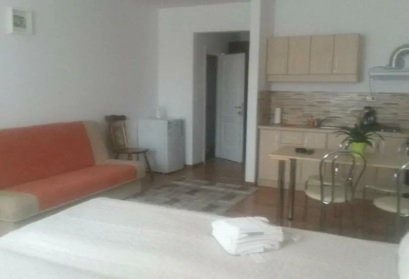 Standard-studio, Vila Onix