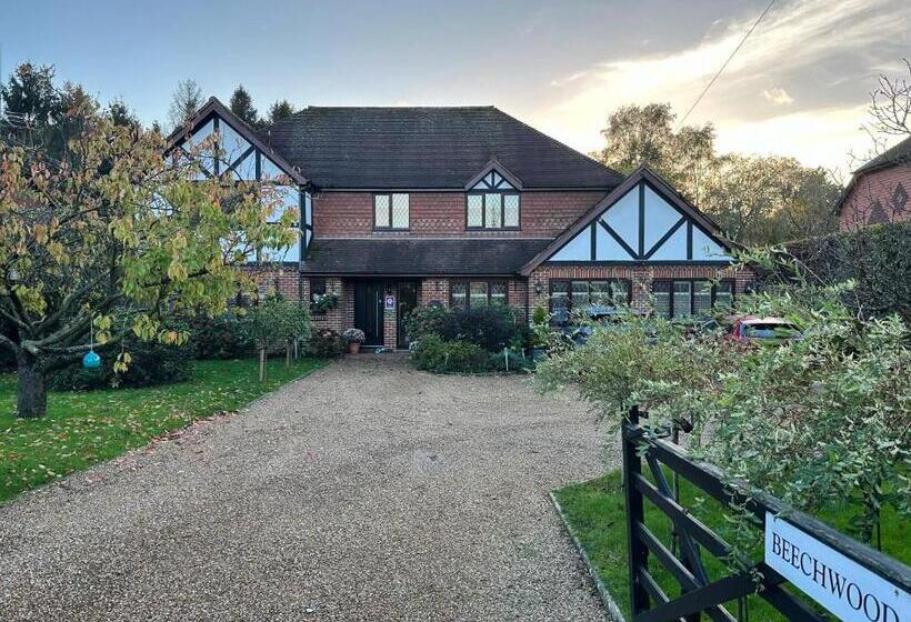 デラックスルーム, Beechwood B And B