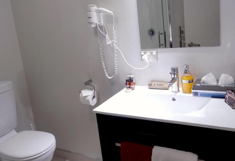 豪华工作室, Dunedin Palms Motel