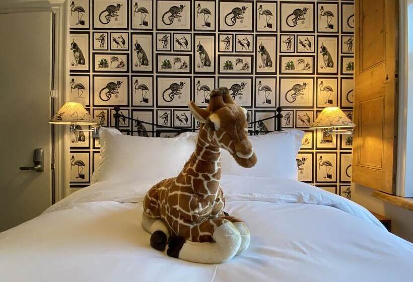 스탠다드 룸, 27 Brighton Guesthouse