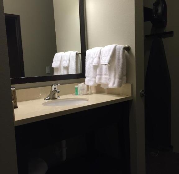 غرفة قياسية سرير كينج, Baymont By Wyndham College Station