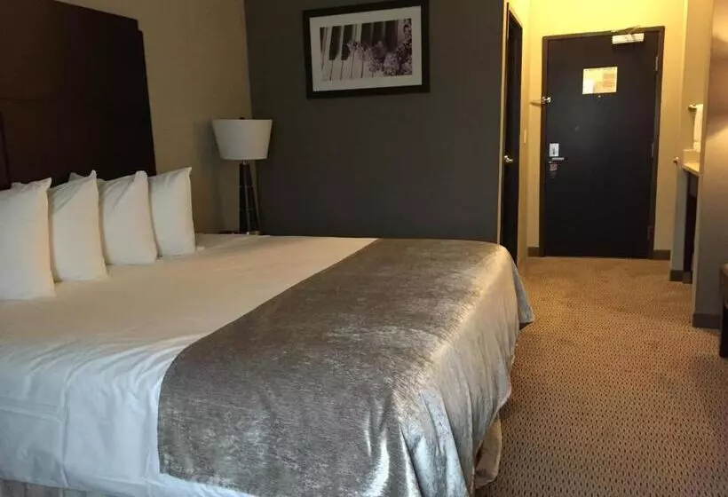 اتاق استاندارد با تخت بزرگ, Baymont By Wyndham College Station
