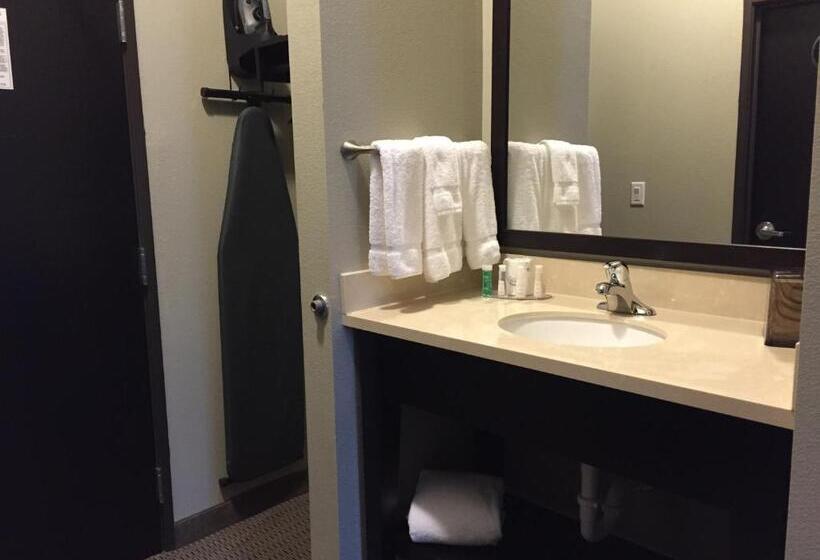 غرفة قياسية سرير كينج, Baymont By Wyndham College Station