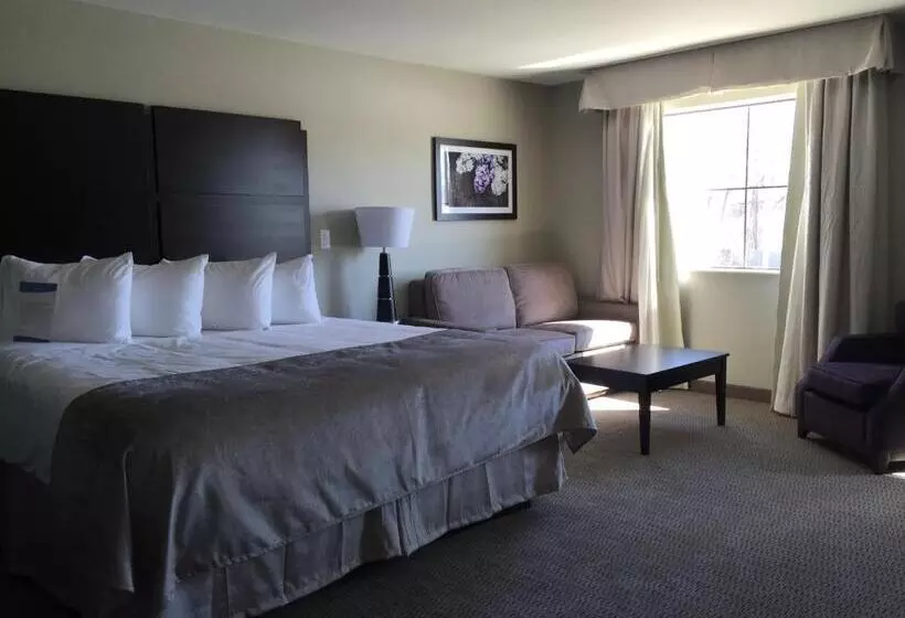 اتاق لوکس با تخت بزرگ, Baymont By Wyndham College Station