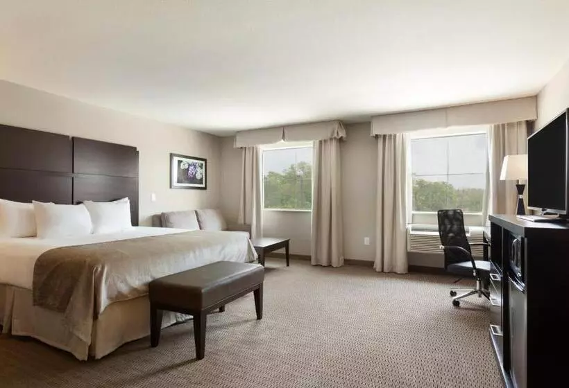 اتاق لوکس با تخت بزرگ, Baymont By Wyndham College Station