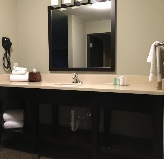 غرفة ديلوكس, Baymont By Wyndham College Station