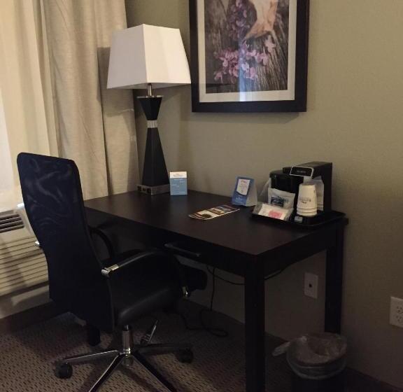 غرفة قياسية سرير كينج لذوى الإحتياجات الخاصة, Baymont By Wyndham College Station