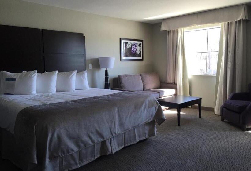 غرفة قياسية سرير كينج لذوى الإحتياجات الخاصة, Baymont By Wyndham College Station