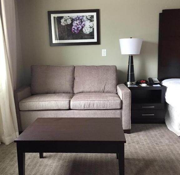 غرفة قياسية سرير كينج لذوى الإحتياجات الخاصة, Baymont By Wyndham College Station