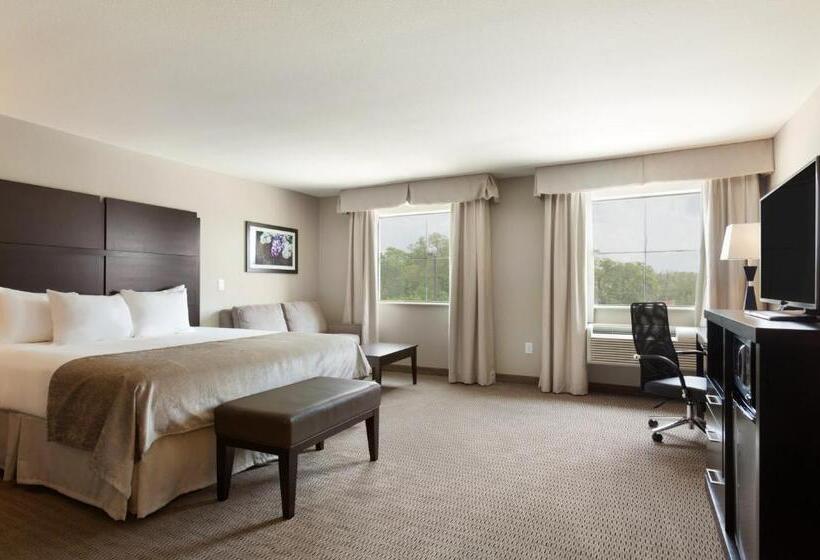 غرفة قياسية سرير كينج لذوى الإحتياجات الخاصة, Baymont By Wyndham College Station