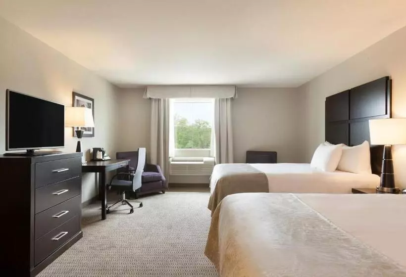 اتاق استاندارد برای معلولان, Baymont By Wyndham College Station